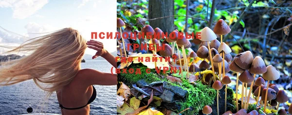 a pvp Баксан
