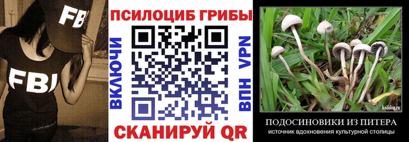 Псилоцибиновые грибы Cubensis  Оленегорск 
